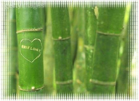 100% fille, 100% love !!!!