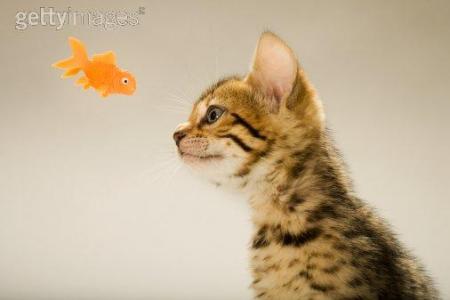 Une petite série de photo trop trop chou !!!!