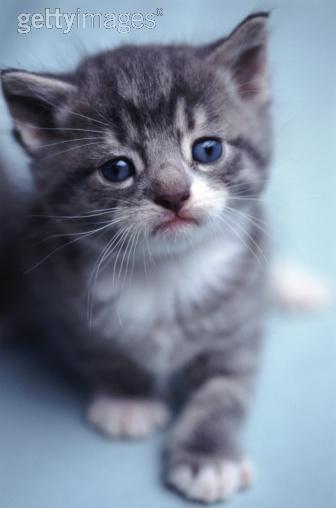 Trop chou !!!!